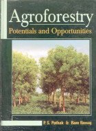 agroforestry potentials and opportunities 1st edition p s ram newaj eds pathak 8177542001, 978-8177542004
