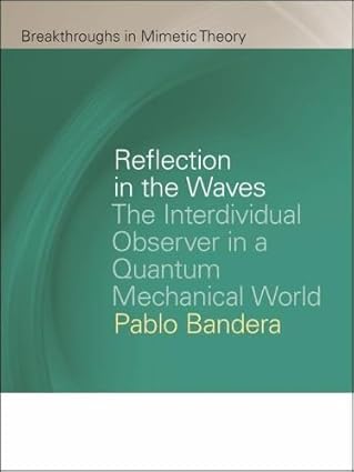 reflection in the waves the interdividual observer in a quantum mechanical world 1st edition pablo bandera