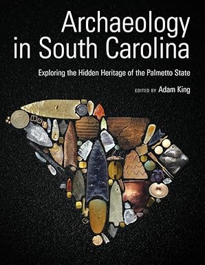 archaeology in south carolina exploring the hidden heritage of the palmetto state 1st edition adam king