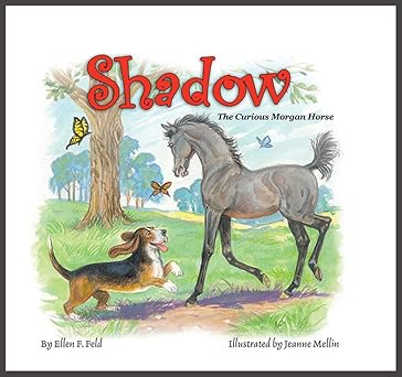 shadow the curious morgan horse 1st edition ellen f feld 0983113831, 978-0983113836