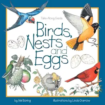 birds nests and eggs 1st edition mel boring 155971624x, 978-1559716246