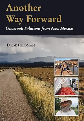 another way forward grassroots solutions from new mexico 1st edition dede feldman 0999586408, 978-0999586402