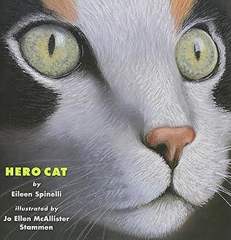 hero cat 1st edition eileen spinelli ,jo ellen mcallister stammen 0761458379, 978-0761458371