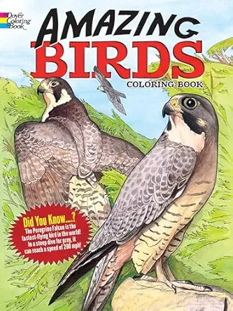 amazing birds coloring book 1st edition ruth soffer 0486447960, 978-0486447964