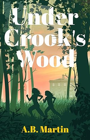 under crooks wood an adventure story for 9 13 year olds 1st edition a b martin 172924257x, 978-1729242575