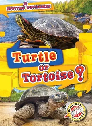 turtle or tortoise 1st edition kirsten chang 1618919504, 978-1618919502