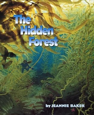 the hidden forest 1st edition jeannie baker 0688157602, 978-0688157609