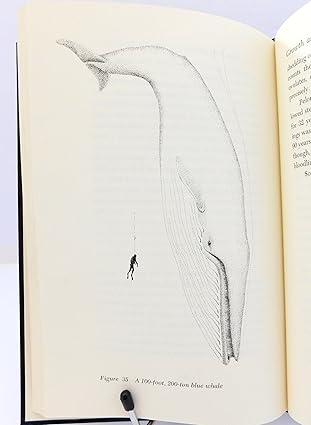 a natural history of marine mammals 1st edition victor b scheffer ,peter parnall 0684145766, 978-0684145761