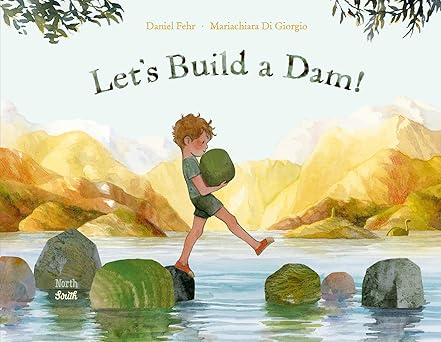 lets build a dam 1st edition daniel fehr ,mariachiara di giorgio 0735845018, 978-0735845015