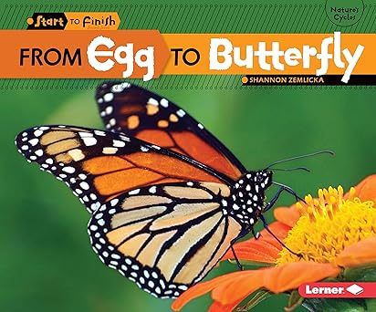from egg to butterfly 1st edition shannon zemlicka 0761385738, 978-0761385738