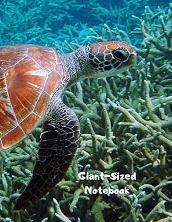 giant sized notebook jumbo sea turtle notebook journal 500 pages 250 ruled sheets 1st edition my journal