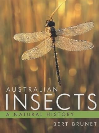 australian insects a natural history 1st edition bert brunet 1876334436, 978-1876334437