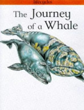the journey of a whale 1st edition carolyn scrace 0749631473, 978-0749631475