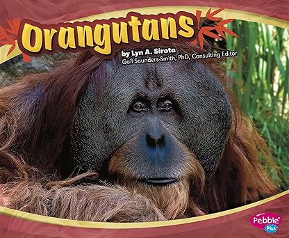 orangutans 1st edition joanne mattern ,gail saunders smith 1429648481, 978-1429648486