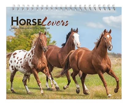 horse lovers 2024 7 5 x 6 inch monthly double view easel desk calendar browntrout animals horses equestrian