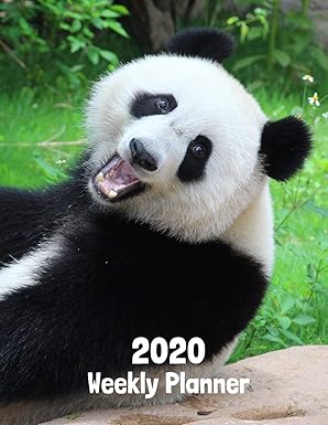 2020 weekly planner panda bear lover 52 week journal 8 5 x 11 inches for women academic organizer monthly