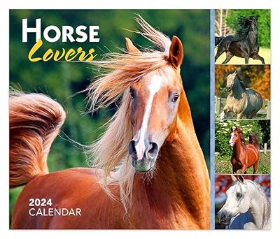 horse lovers 2024 6 x 5 inch daily desktop box calendar new page every day browntrout animals horses