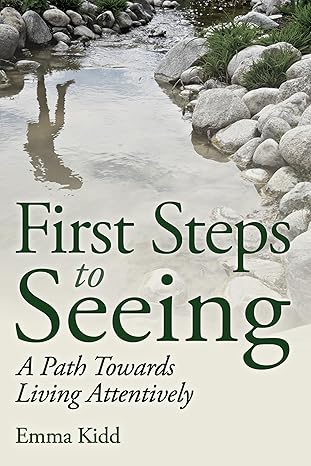 first steps to seeing a path towards living attentively 1st edition emma kidd 178250169x, 978-1782501695