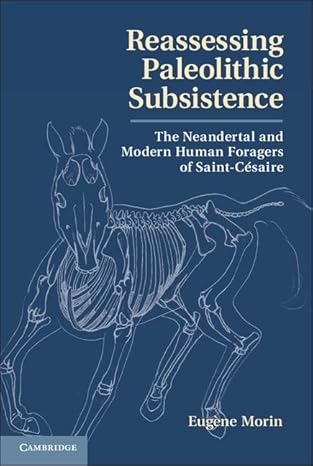 reassessing paleolithic subsistence the neandertal and modern human foragers of saint casaire 1st edition