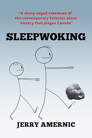 sleepwoking 1st edition jerry amernic 1775239942, 978-1775239949