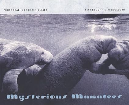 mysterious manatees photographs by karen glaser 1st edition karen glaser ,john e reynolds iii 0813026377,