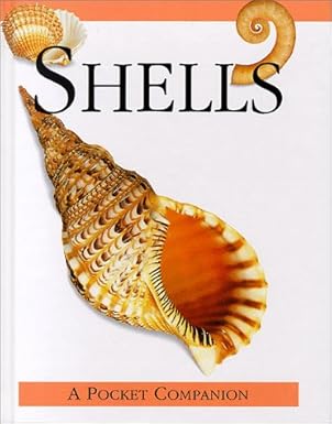shells 1st edition judith milidge 0785809732, 978-0785809739