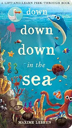 down down down in the sea a lift and learn peek through book 1st edition jonathan litton 184857553x,