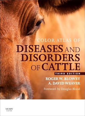 color atlas of diseases and disorders of cattle color atlas of diseases and disorders of cattle 1st edition