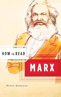 how to read marx 1st edition peter osborne ,simon critchley 0393328783, 978-0393328783