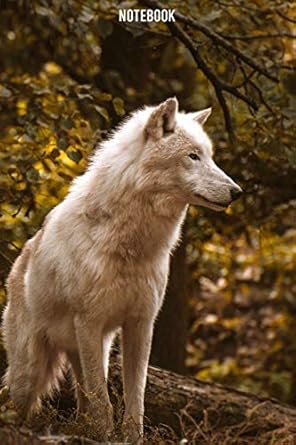 wolf notebook composition notebook college ruled notebook 6x9 inches 1st edition lone wolf 1670349071,