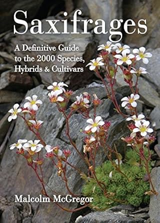 saxifrages the definitive guide to 2000 species hybrids and cultivars 1st edition malcolm mcgregor