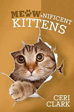 meow nificent kittens the secret personal internet address and password log book for kitten and cat lovers