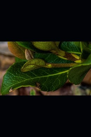 a reasonably simple how to guide for c# net programmers of all ages how to use c# net with an access database