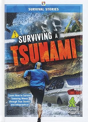 surviving a tsunami 1st edition vicki c hayes 1645192032, 978-1645192039