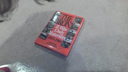 the bronx it was only yesterday 1935 1965 1st edition lloyd ultan ,gary hermalyn 0941980332, 978-0941980333