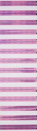 princess bible tabs 1st edition ellie claire 1609365739, 978-1609365738