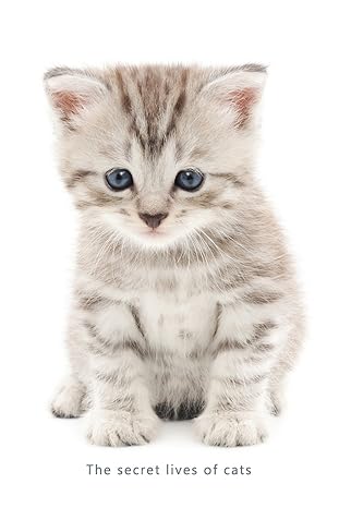 internet password organizer a discreet password log book for people who love cats 1st edition ceri clark