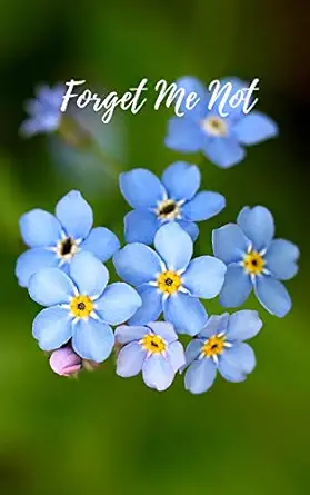 forget me not computer password book with tabs password organizer large print with tabs personal internet