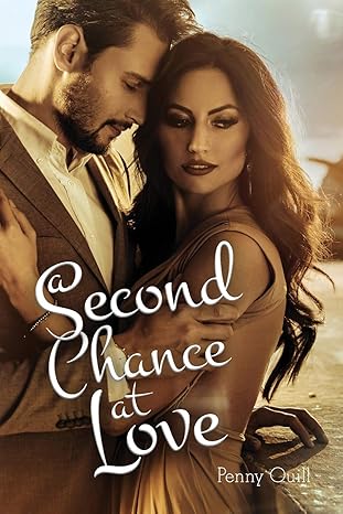 a second chance at love a disguised password book with tabs to protect your usernames passwords and other