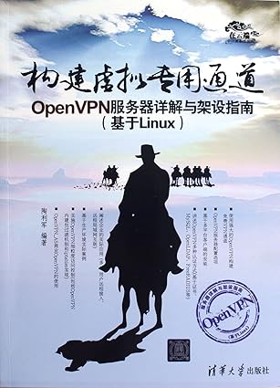 constructing virtual special channel guidelines openvpn server explanation in detail and erection 1st edition