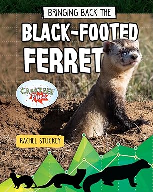 bringing back the black footed ferret 1st edition rachel stuckey 0778763242, 978-0778763246