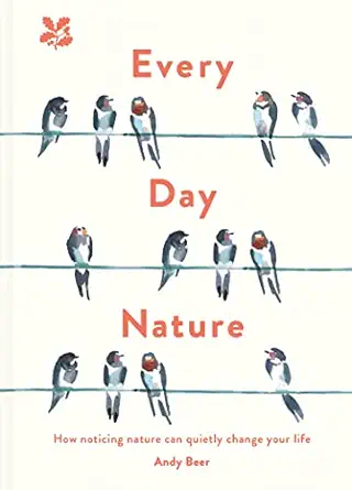 every day nature 1st edition andy beer 1911657097, 978-1911657095