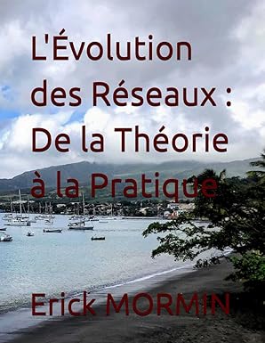 la volution des raseaux de la thaorie a la pratique 1st edition erick mormin 2955257958, 978-2955257951