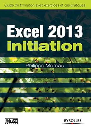 excel 2013 initiation 1st edition philippe moreau 2212138113, 978-2212138115