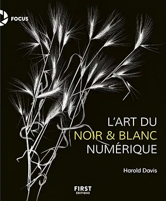 la photographie en noir et blanc numarique 1st edition harold davis 2412053197, 978-2412053195