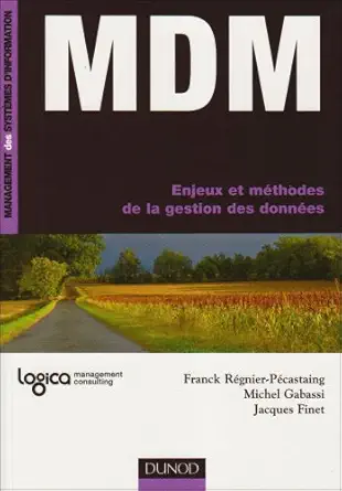 mdm enjeux et mathodes de la gestion des donnaes 1st edition franck ra c gnier pa c castaing ,michel gabassi