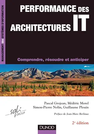 performance des architectures it 2a me adition comprendre rasoudre et anticiper comprendre rasoudre et