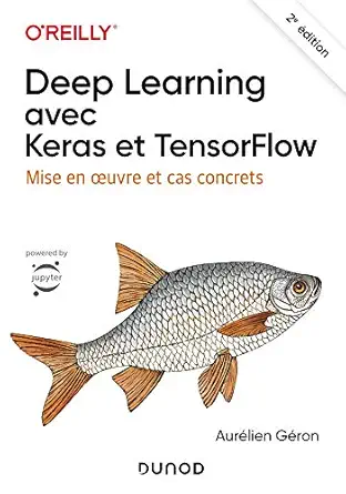 deep learning avec keras et tensorflow 2e ad mise en oeuvre et cas concrets mise en oeuvre et cas concrets