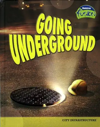 going underground 1st edition buffy silverman 1406205060, 978-1406205060