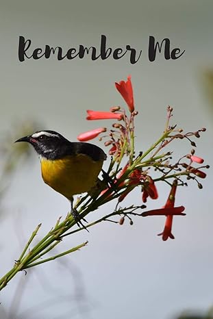 remember me password logbook with encryption cipher 1st edition secure password publishing 1079341463,